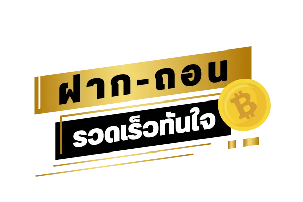 ระบบฝากถอนออโต้ของ TGA8008 ทำงานอย่างไร